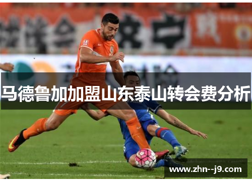 马德鲁加加盟山东泰山转会费分析 马德鲁加加盟山东泰山转会费分析