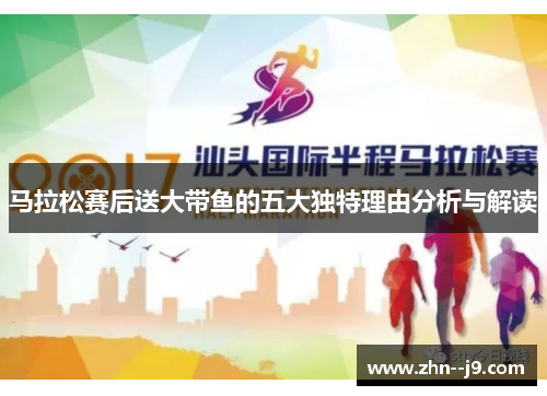 马拉松赛后送大带鱼的五大独特理由分析与解读
