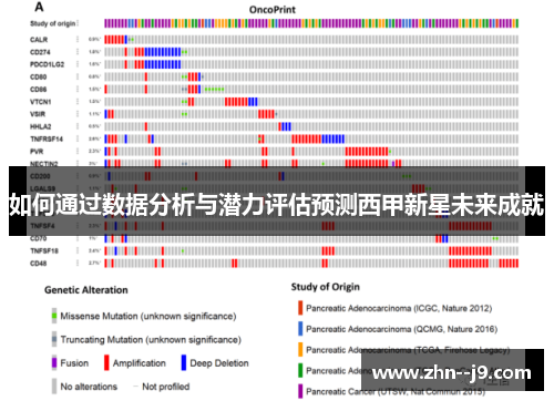 如何通过数据分析与潜力评估预测西甲新星未来成就 如何通过数据分析与潜力评估预测西甲新星未来成就